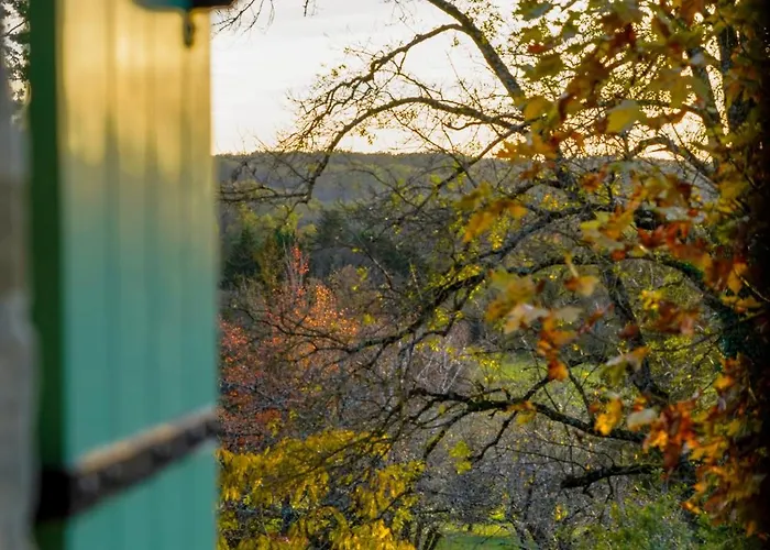 בית הארחה 1 Rue Pasquet Pool With Kitchen Beaumont-du-Périgord